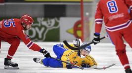 Российская сборная взяла золото в чемпионате мира по хоккею с мячом