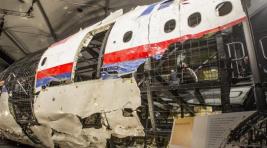 В Нидерландах пройдет суд над причастными к гибели рейса MH17