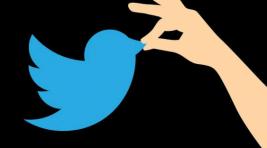 В Нигерии пообещали наказывать за использование Twitter