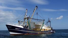 Рыбаки предупредили о сбоях в поставках иваси