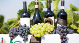 На молдавские фрукты и вино продлили нулевую пошлину