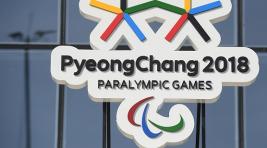 На Паралимпиаду в Южную Корею поедет 30 российских спортсменов
