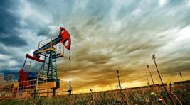 Страны ОПЕК+ заявляют о сокращении уровня добычи нефти