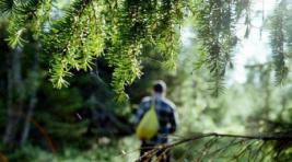 Полиция Хакасии нашла заблудившегося в лесу подростка