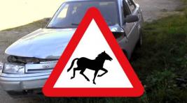 Автоледи столкнулась с лошадями в Хакасии