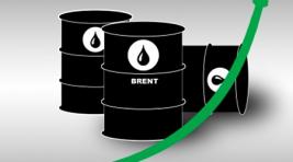 Нефть марки Brent подорожала до 57 долларов впервые с лета 2015 года