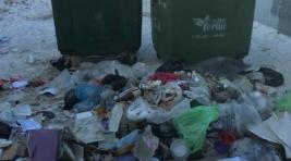 Проблемы с мусором в Абакане никуда не исчезли