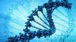 В США разрешили генную инженерию человека