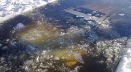 В Хакасии стали известны подробности ЧП с провалившимся под лед авто