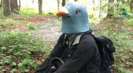 Японский орнитолог пытался обмануть птиц, но не смог