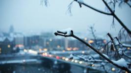 Погода в Хакасии 31 марта: Холодный ветер весь день