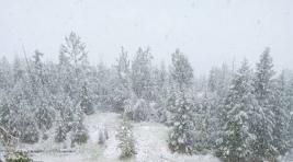 В Магаданской области выпал снег