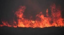 В Хакасии горят леса