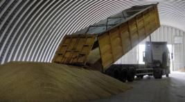 ЕК может запретить импорт украинского зерна