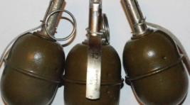 А вот кому гранаты: В Ачинске задержали торговцев оружием