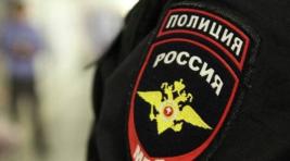 Московская полиция задержала 9-летнего мальчика