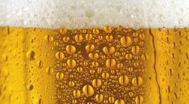 В День города Абакана, несмотря на запрет, пиво лилось рекой