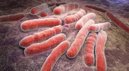 Эксперты предупредили о возможной вспышке туберкулеза в России