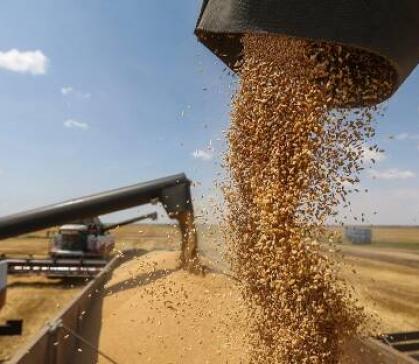 Евросоюз повысил пошлины на российское зерно