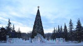 Открытие главной ёлки Хакасии состоится 23 декабря