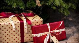 Роспотребнадзор Хакасии подскажет, как выбрать безопасные подарки к Новому году