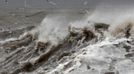 Из-за тайфуна «Меги» на Филиппинах погибли 58 человек