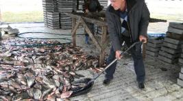 Глава Хакасии призвал к активному развитию рыбоводства в республике