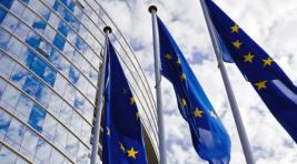 ЕС может принять Молдавию и Грузию в свой состав «по частям»