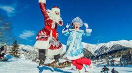 В России предложили продлить новогодние каникулы