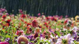 Погода в Хакасии 20 сентября: День может быть дождливым