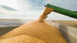 Россия и Китай подписали соглашение о поставках зерна на 2,5 трлн рублей