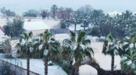 На юге Турции впервые за десятилетия прошел снегопад