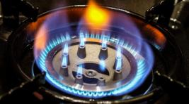 Франция заморозила цены на газ до конца 2022 года