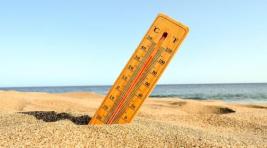 Эксперты: 2024 год может стать самым жарким за всю историю наблюдений