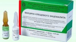 Медики Хакасии призывают вакцинироваться от энцефалита