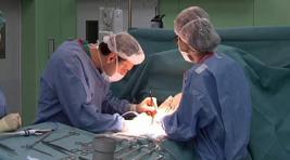 Британский хирург лишился работы из-за автографа на печени пациента