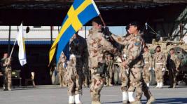 Швеция не в состоянии восполнить дефицит оружия в своих войсках