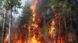 Два лесных пожара в Хакасии - итог минувших праздников
