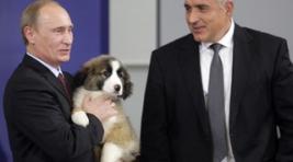  Путину подарили живой символ Болгарии