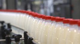 В Хакасии готовится к открытию современный молокозавод