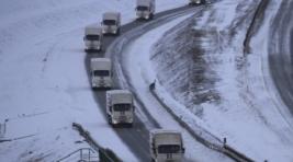 Одиннадцатый гуманитарный конвой отправился из Ростовской области в Донбасс