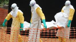 Минздрав РФ: в Россию может попасть вирус Эбола