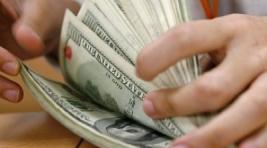 ЛДПР предлагает запретить доллары США на территории России