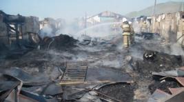 Во время пожара на конюшне заводчика Миндибекова погибли 19 лошадей