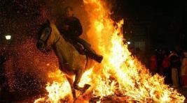 В Хакасии пожар уничтожил поголовье элитных лошадей