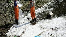 Слив нефтепродуктов после аварии на СШГЭС не нанес ущерба экологии Хакасии