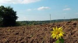 В Хакасии фермеры не соблюдают земельное законодательство