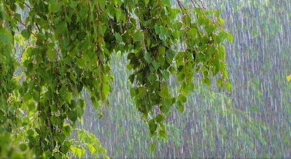 Погода в Хакасии 18 августа: Опять дожди