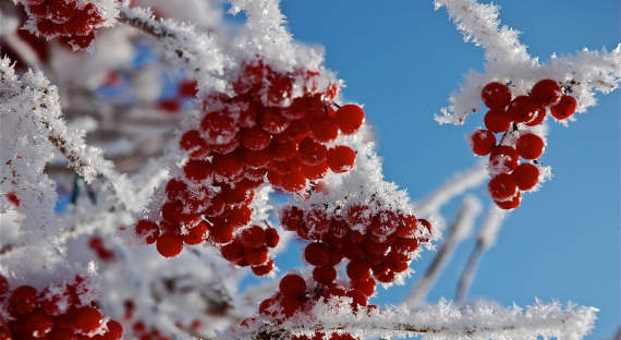 Погода в Хакасии 28 декабря: Зима остается довольно мягкой