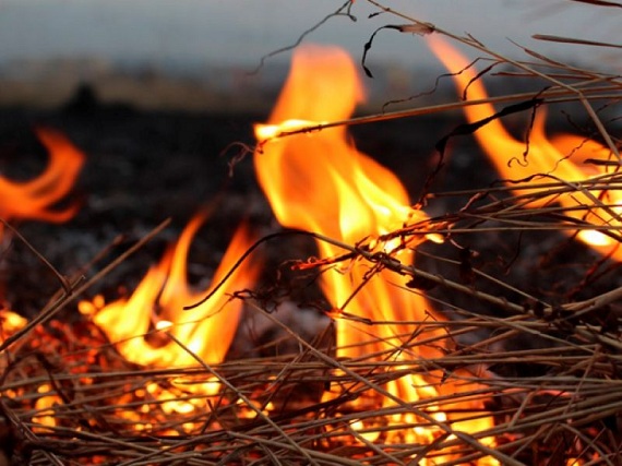 В Хакасии потушили горящее в арбе сено